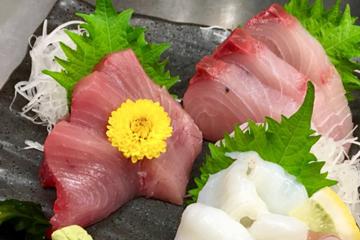 堂山食堂 本店の刺し身盛り合わせ