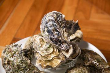 Seafood bar Ermitage 横浜鶴屋町店の写真1