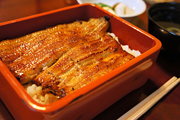 うなぎ 喜代川のうな重