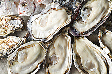 フィッシュ＆オイスターバー 西武渋谷店のRaw Oyster（生牡蠣）