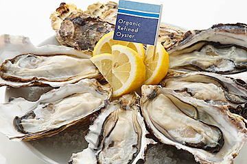 8TH SEA OYSTER Bar 銀座コリドー店の写真1