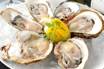 ITALIAN&OYSTER SEASONの産地がわかるよう、プレート付で提供される生牡蠣