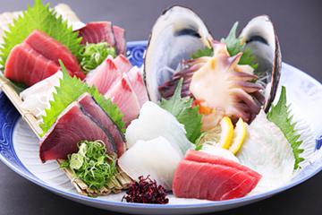 おいしい寿司と活魚料理 魚の飯 新橋の写真1