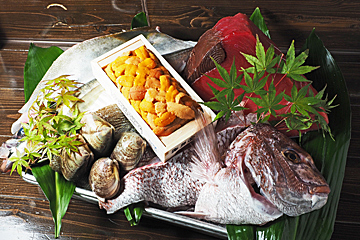 旬美味魚介 鮨みやた屋