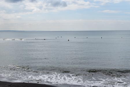 湘南の海