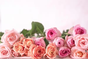 横浜の誕生日・記念日イメージ