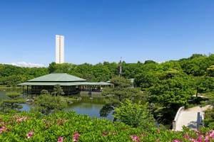 「堺グルメ」イメージ画像