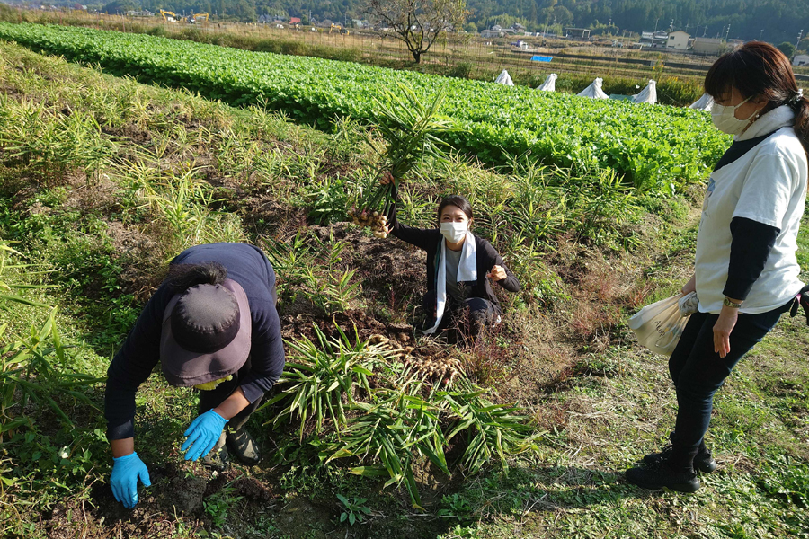 『都野菜 賀茂 烏丸店』の「都野菜」イメージ