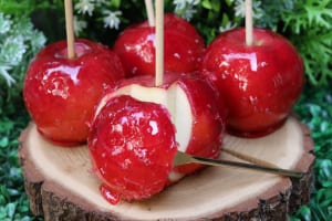 「代官⼭Candy apple」