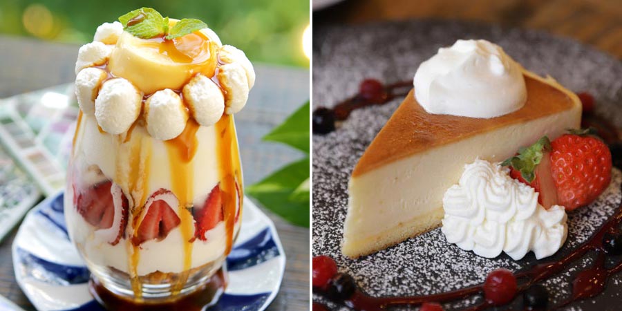 『ANTIQUA TREE CAFE（アンティカ ツリー カフェ）』の「純喫茶プリンアラモードパフェ」と「スペイン生まれの焦がしバスクチーズケーキ」