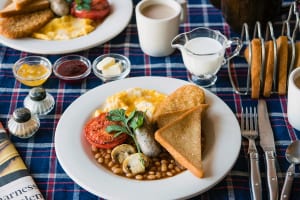 「TASTE THE WORLD」のモーニングイメージ