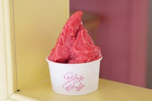彩り豊かなジェラート専門店『ジェラートとエスプレッソと』原宿に8/2オープン！